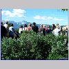 012 - Altra vista, sul Monte Pisanino.jpg